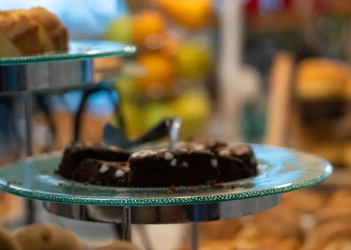 酒店 朱莉酒店 里米尼