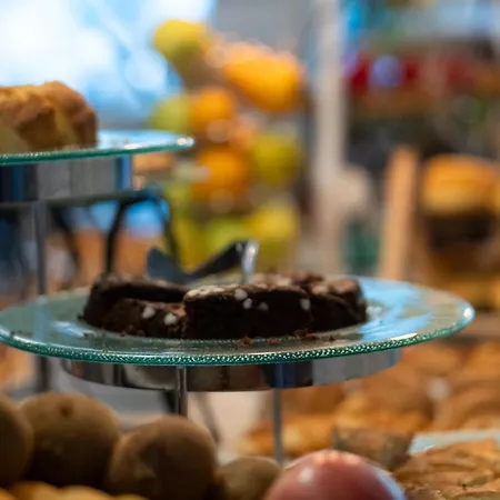 酒店 朱莉酒店 里米尼