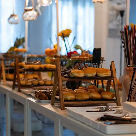 酒店 朱莉酒店 里米尼