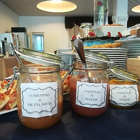 酒店 朱莉酒店 里米尼